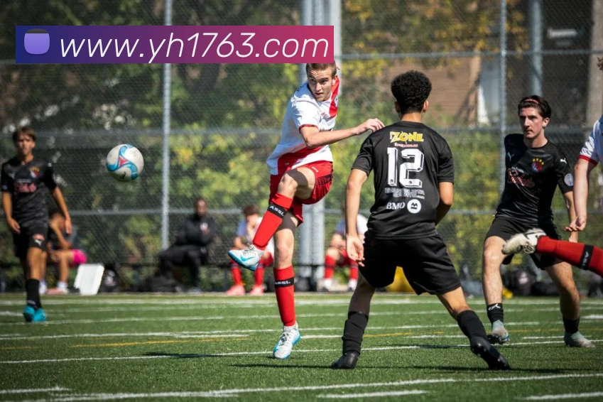 多媒体互动体验